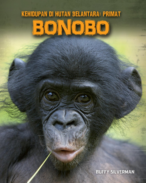 ITBM — Kehidupan di Hutan Belantara: Primat – Bonobo